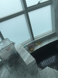 Newton One (D11), Condominium #124396572